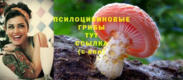 гидропоника Беломорск