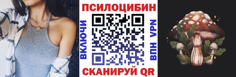 маркетплейс клад где можно купить Болохово Псилоцибиновые грибы MAGIC MUSHROOMS
