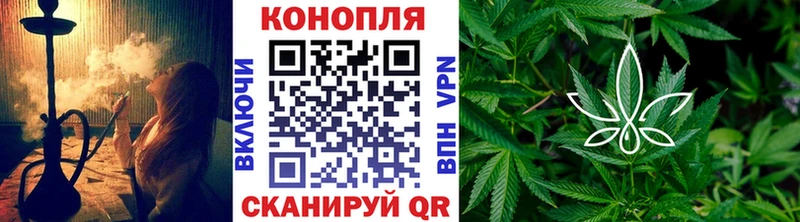 сколько стоит  Болохово  Шишки марихуана ГИДРОПОН 